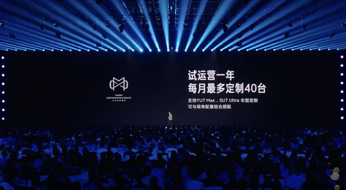 小米汽車(chē)定制服務(wù)超10萬(wàn)選配，雷軍跨界廣告引爆行業(yè)話題